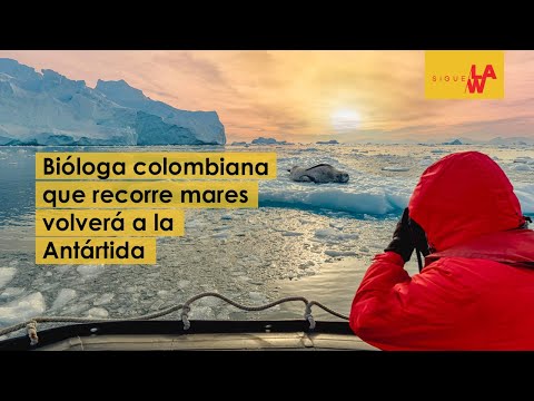 Bióloga colombiana que recorre los mares del mundo volverá a la Antártida