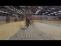 Cheval de dressage Internationaal youngriders paard! Potentie GP