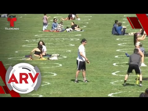 Dibujan círculos en grama de parques para promover la distancia social | Al Rojo Vivo | Telemundo