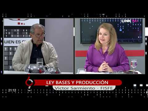 Quien Es Quien - Victor Sarmiento (FISFE) - Ley bases y producción