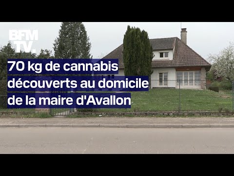 Au moins 70 kg de cannabis découverts au domicile de la maire d'Avallon