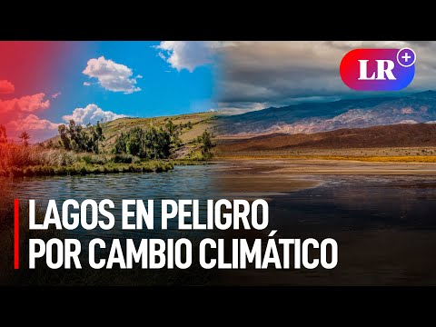 Desastre ECOLÓGICO: LAGOS en PELIGRO EXTREMO por el CAMBIO CLIMÁTICO