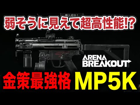 見た目はコレでも、性能が良すぎる！？【arenabreakout】アリーナブレイクアウト