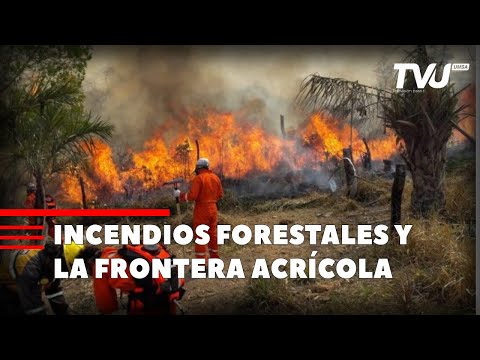 INCENDIOS FORESTALES Y LA FRONTERA AGRÍCOLA