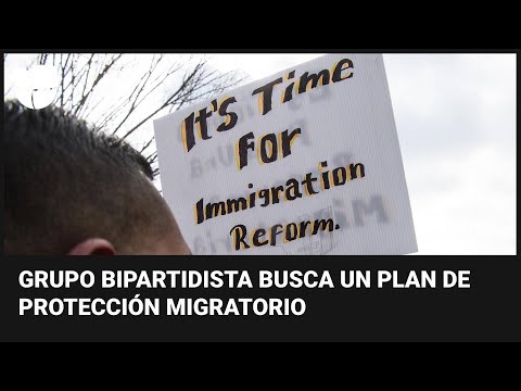 “Optimistas”: expectativa por diálogos entre legisladores de EEUU sobre una reforma migratoria