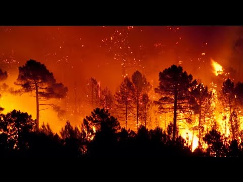 Alerta roja por incendios forestales