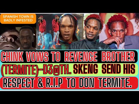 Chink VOWS To REVENGE His BROTHER Termite’s-D3@TH? UNBELIEVABLE SKENG Sends RESPECT & R.I.P To DON