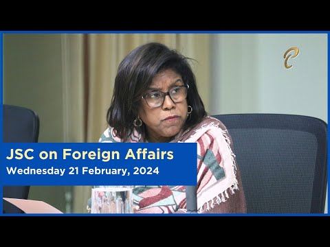 14th Meeting - JSC Foreign Affairs - February 21, 2024 - Cultural Diplomacy