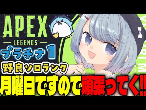 【APEX/プラチナ１】10 時から‼初見さんもおはよう🌞キーマウソロランク【xTies_ゆるりめぐ/vtuber】