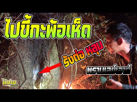 วิธีเอา-รังต่อหลุม-🐝🐝🐝🔥🔥🔥-ดวงด วิธีเอา-รังต่อหลุม-🐝🐝🐝🔥🔥🔥-ดวงด