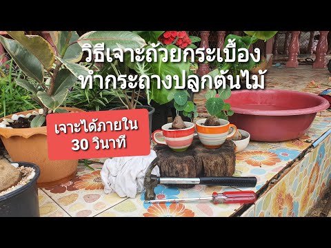 วิธีเจาะถ้วยกระเบื้องทำกระถางป วิธีเจาะถ้วยกระเบื้องทำกระถางป