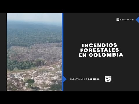 Incendios forestales han consumido cerca de 15.000 hectáreas en Colombia