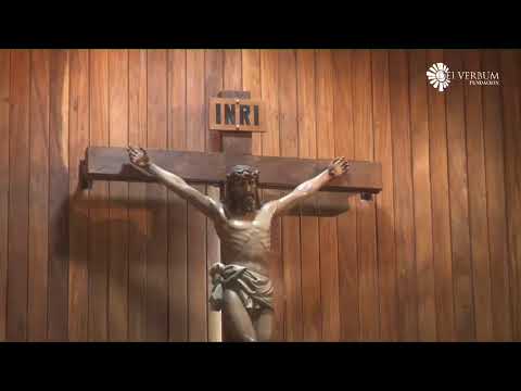 Santa Eucaristía - Viernes IV semana de Pascua - 8 de mayo 2020