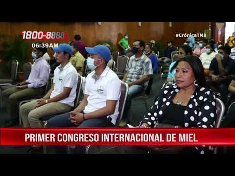 Primer Congreso Internacional de miel Nicaragua con esperanza dulce