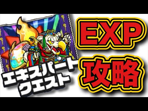 【ワンコレ】デカネロンエキスパートクエスト完全攻略!【ワンダーコレクション】