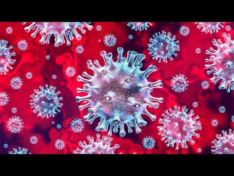 Update on the Coronavirus Disease 2019 (COVID-19)