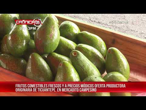 Familia productora de frutos comestibles aprovecha estrategia del MEFCCA – Nicaragua