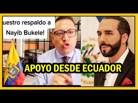 Bukele recibe apoyo desde Ecuador y otros paises | Diputado Suplente Safie