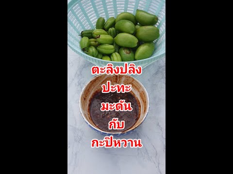 ตะลิงปลิงปะทะมะดันกับกะปิห