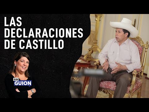 Pedro Castillo: un Gobierno poco capaz