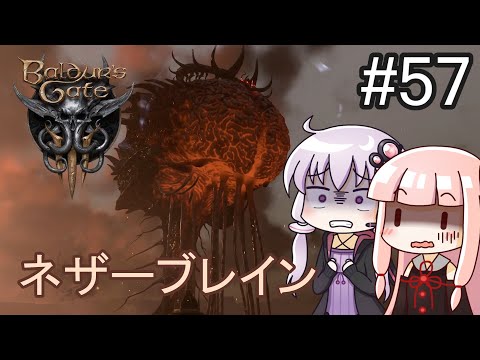 【Baldur's Gate 3】#57 ドワーフおじさんでいくバルダーズゲート３【ボイロ実況】