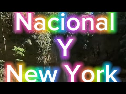 Numeros para hoy jueves 12 septiembre nacional y New York