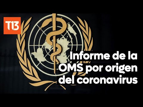 OMS revela su esperado informe del origen del coronavirus