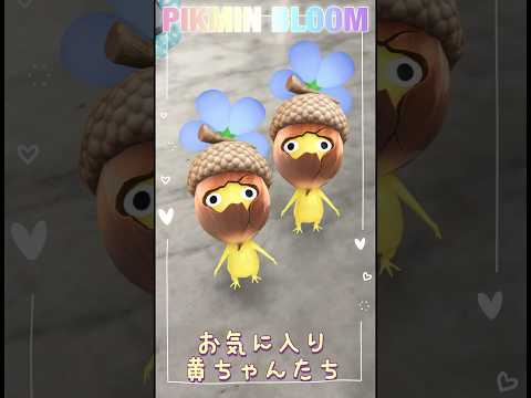 【黄ピクミン特集】特にお気に入りの6黄ちゃんご紹介です💛✨ マイペースで無垢な所がマジで愛おしい💕 #pikmin