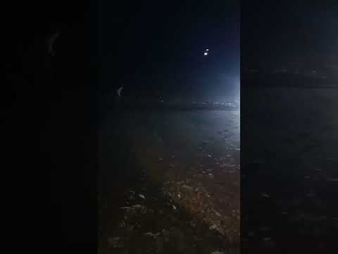 ผานมันต้นตากแห้งงานโอ