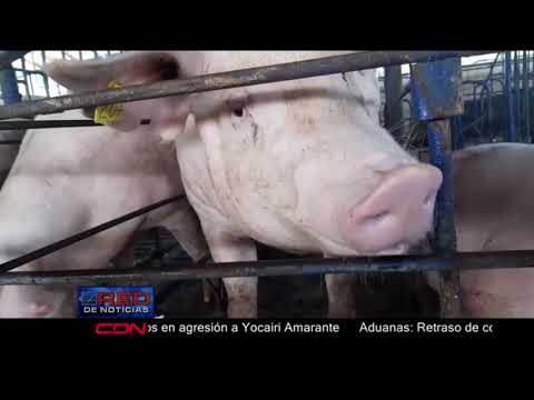Fiebre porcina africana está controlada en RD, según agricultura