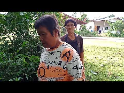ของดีข้างทางก็มีนะครับ ของดีข้างทางก็มีนะครับ