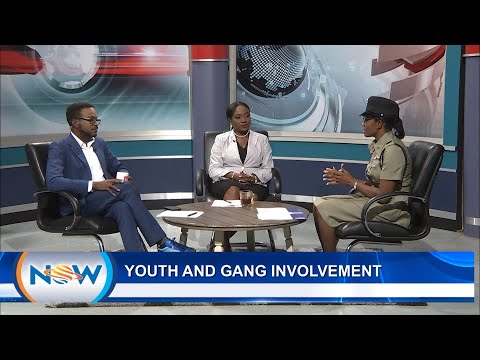Youth and Gang Involvement - Inspector Michelle Lewis