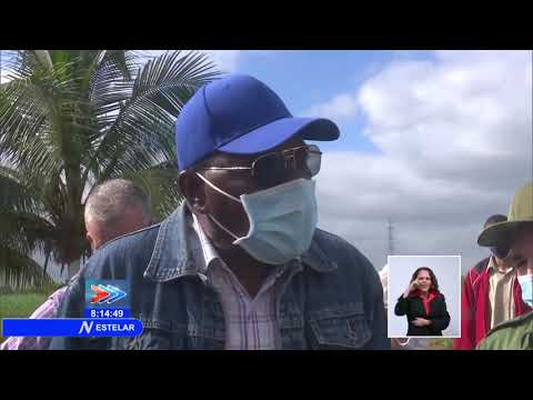 Cuba: Chequea Valdés Mesa marcha de campaña de frío en Pinar del Río