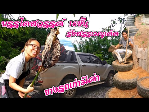 บันได16ขั้น-รังสรรค์เมนูเด็ด บันได16ขั้น-รังสรรค์เมนูเด็ด
