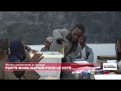 Forte mobilisation pour le premier tour de la présidentielle au Sénégal • FRANCE 24