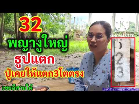 32พญางูใหญ่ธูปแตกปู่เคยให้โ