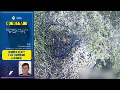 Investigación policial permitió identificar a quien hurtaba cables en cercanías de Minas