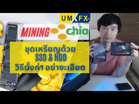 วิธีขุดเหรียญ-Chia-และตั้งค่า- วิธีขุดเหรียญ-Chia-และตั้งค่า-