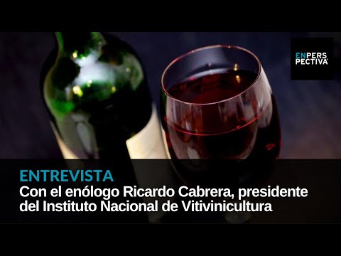 Se habilitó el vino sin alcohol: Presidente del INAVI dice que no compite con el tradicional
