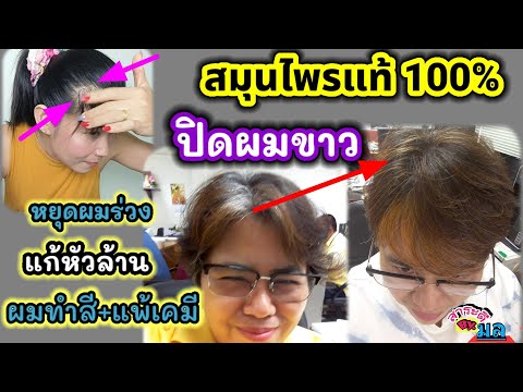 ผมขาว-ผมร่วง-ผมทำสี-แพ้เคมีย้อ ผมขาว-ผมร่วง-ผมทำสี-แพ้เคมีย้อ