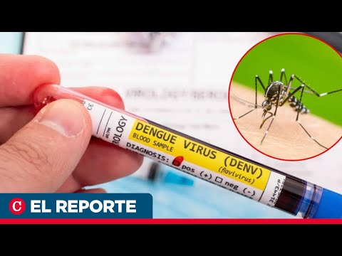 Casi 70 000 casos de dengue obligan al Minsa a “mirar” epidemia en Nicaragua