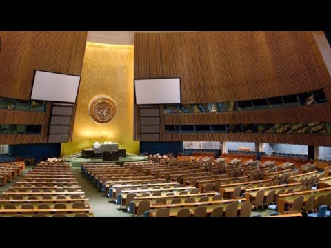 ONU en vivo: Alberto Fernández en la ASAMBLEA GENERAL DE NACIONES UNIDAS, habla por primera vez