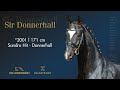 حصان الفروسية Sir Donnerhall merrie met 3 uitstekende gangen!