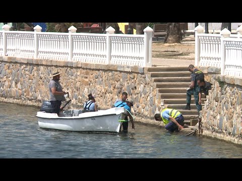Retirados tres kilos de peces muertos en una playa del Mar Menor