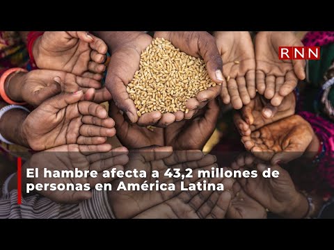 El hambre afecta a 43,2 millones de personas en América Latina