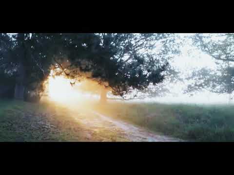 Kygo - Undeniable (Music Video) ft. X Ambassadors,