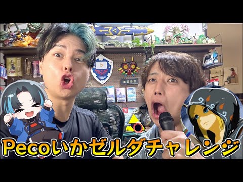 Peco（戦闘狂）といかぼうずでハイラルゲッサーを協力してクリアします。