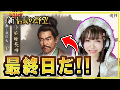 💗【静かにできないシンノブ】今晩決めてやる！！どこまで伴金使うか。。。！！【#新信長の野望】330