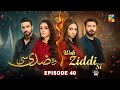 Woh Ziddi Si - Episode 40 - 29th Dec 2024 [ Aina Asif & Shazeal Shaukat ]  SIA BEAUTY CREAM - HUM TV