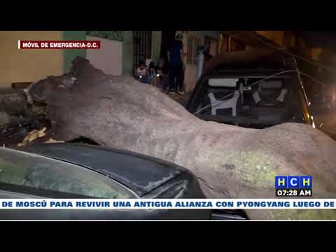 Enorme árbol aplastó vehículos en el barrio Villa Adela | #MóvilTGU